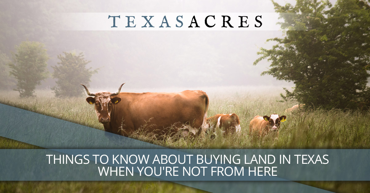 Things to Know About Buying Land in Texas When You’re Not From Here