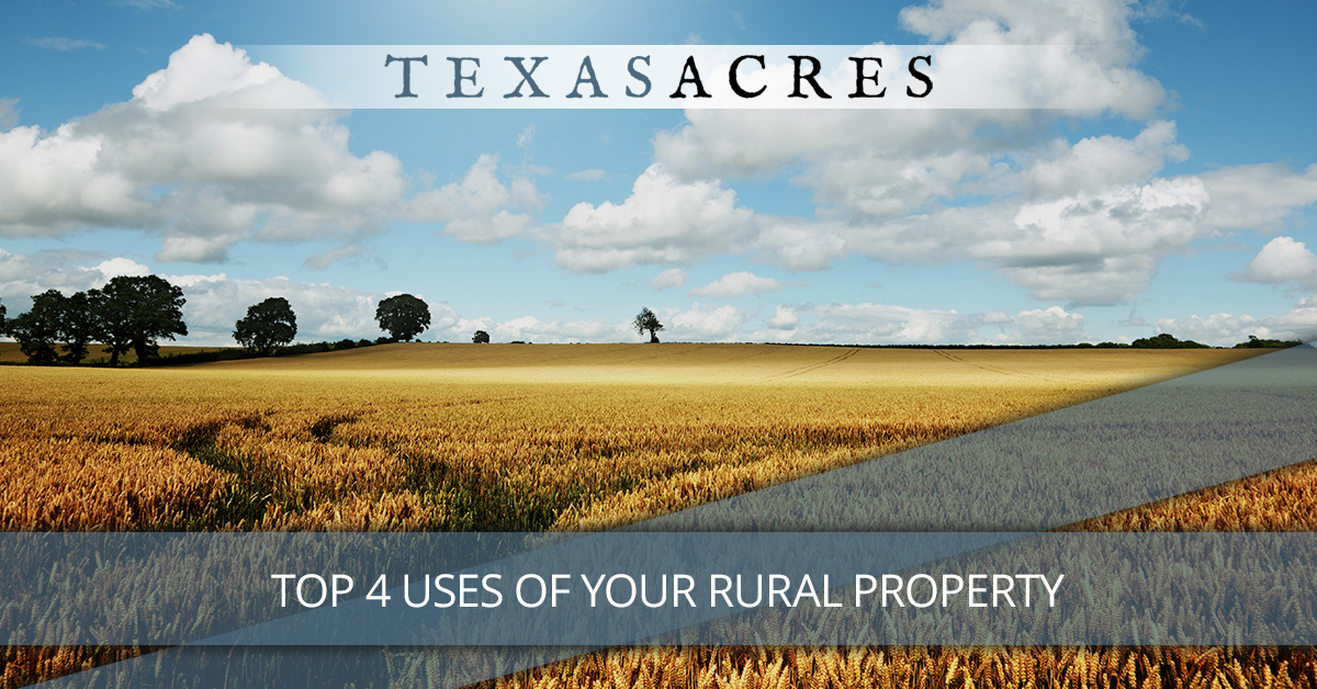 Top 4 Uses of Your Rural Property Texas Acres
