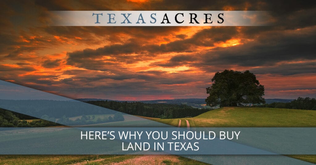 Here’s Why You Should Buy Land in Texas