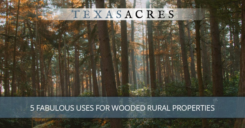 5 Fabulous Uses For Wooded Rural Properties