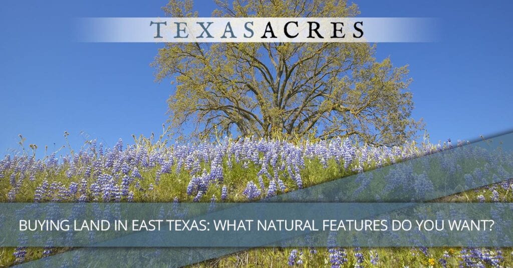 Buying Land In East Texas: What Natural Features Do You Want?