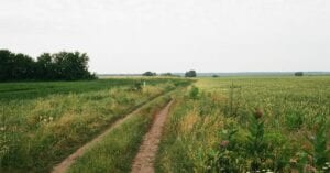 A dirt road through a large field with trees in the distance and a gray sky.