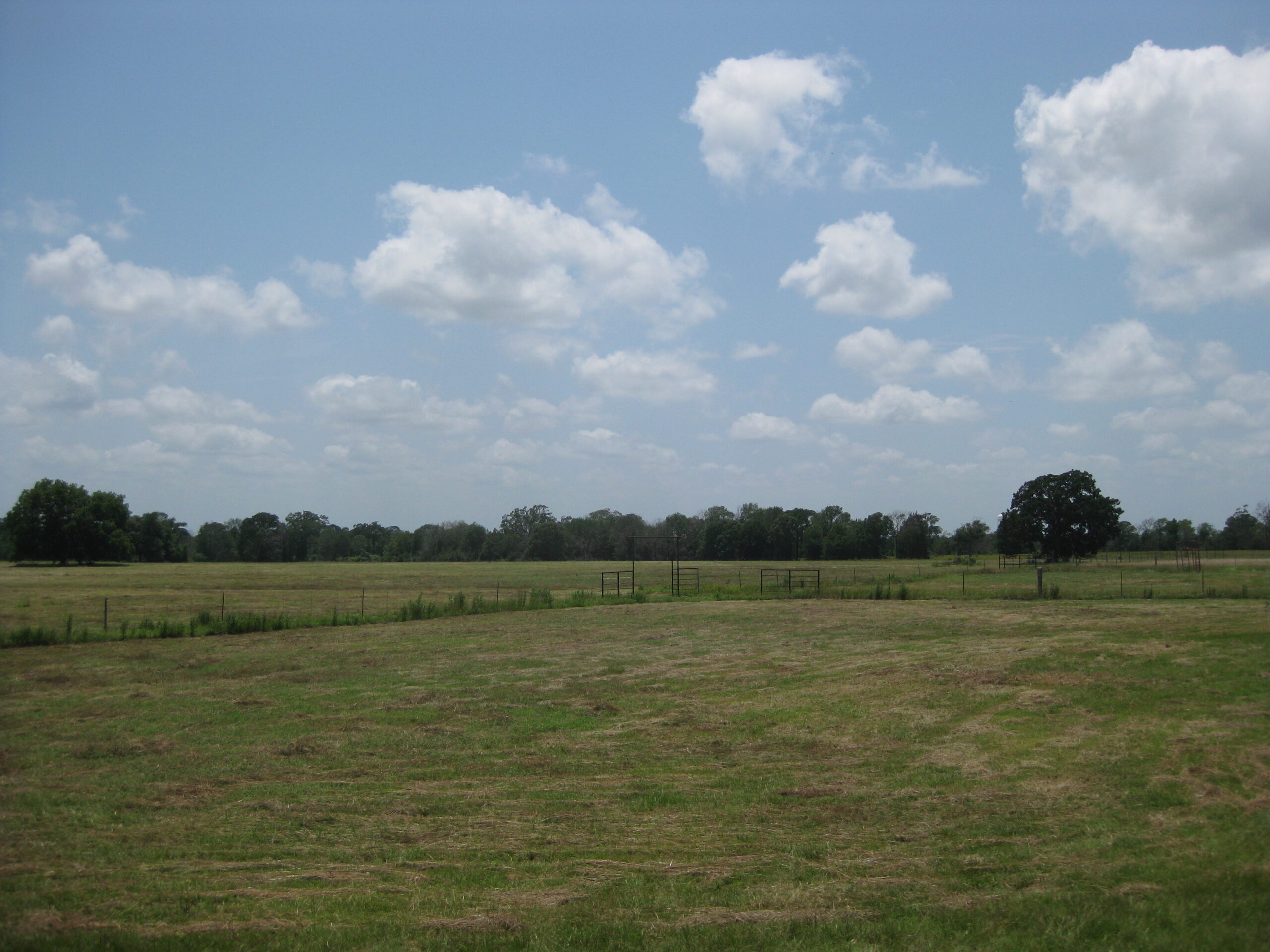 Hay-meadows-5dba255bc180f Hay-meadows-5dba255bc180f