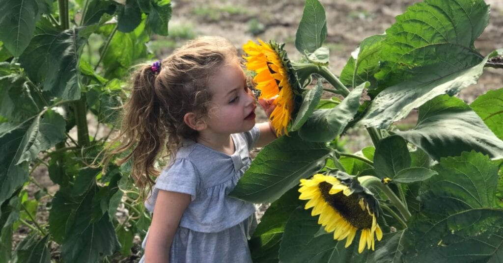 Young girl smelling yellow flowers in an East Texas field.