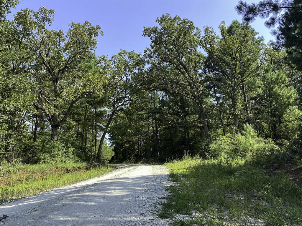 Land for Sale in Centerville, TX Texas Acres