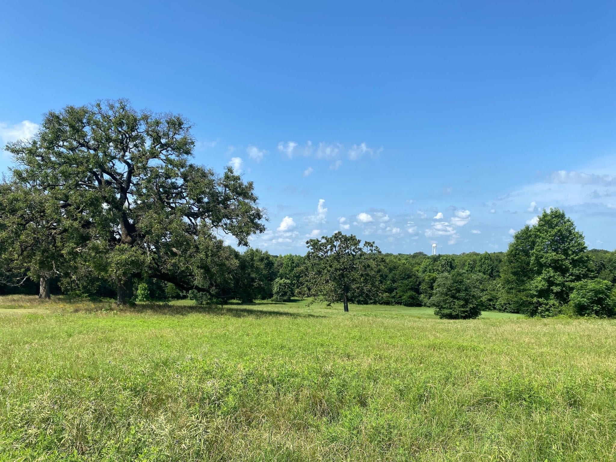 Land for Sale in Palestine, TX – Texas Acres