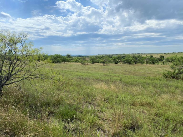 Property Listings Land for Sale East Texas Flexible Financing