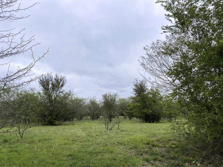 Texas Acres Rural Land For Sale In Texas