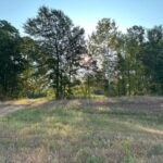 Land for Sale in Linden TX - Texas Acres - Driveway