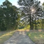 Land for Sale in Linden TX - Texas Acres - Entrance
