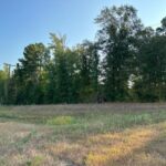 Land for Sale in Linden TX - Texas Acres - Outside