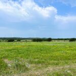 Huckabay, TX